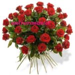 RAMO DE 24 ROSAS ROJAS DELUXE AR24
