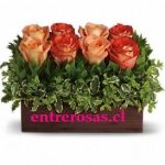 8 ROSAS PASTEL EN BASE DE MADERA AR508
