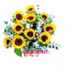 DIEZ GIRASOLES EN ARREGLO DE MIMBRE: BV102