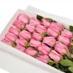 CAJA CON 24 ROSAS
