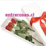 CAJA DE 3 ROSAS ROJAS