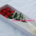 CAJA DE 6 ROSAS ROJAS