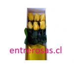 CAJA DE 6 ROSAS AMARILLAS