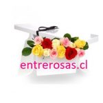 CAJA CON 12 ROSAS DE COLORES