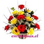 ARREGLO CON GERBERAS - FC110