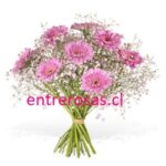 RAMO 10 GERBERAS
