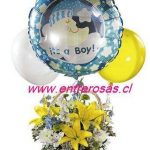 FLORES PARA NACIMIENTO:NC900