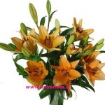 RAMO CON MEDIA DOCENA DE LILIUMS