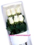 CAJA DE 6 ROSAS BLANCAS