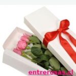 CAJA DE 3 ROSAS ROSADAS