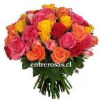 Arreglo de 50 Rosas de colores codigo:RR250