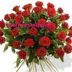 Ramo de 36 Rosas Rojas codigo:RR336