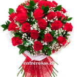 Ramo de 24 Rosas Rojas CODIGO:RR424