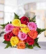 RAMO DE 12 ROSAS SURTIDAS + ALFAJOR AR515