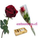 ROSA UNITARIA
