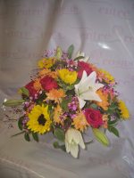 CANASTO SILVESTRE - Imagen 2