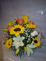 CANASTILLO FLORES SILVESTRE